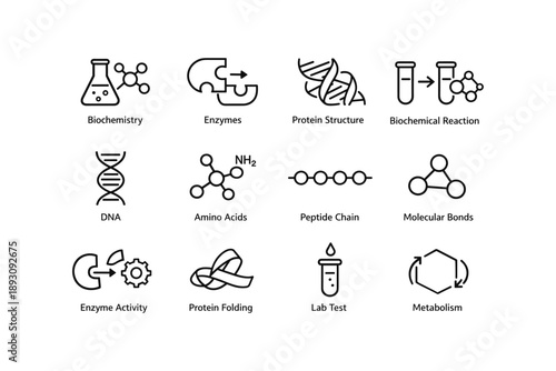 Biochemistry symbols: dna, enzymes, and protein structures explained