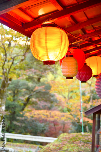Autumn in Japan, Kyoto city, November 12, 2025