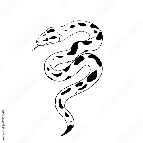 Boa Constrictor. Boa Constrictor simple black and white line art vector logo