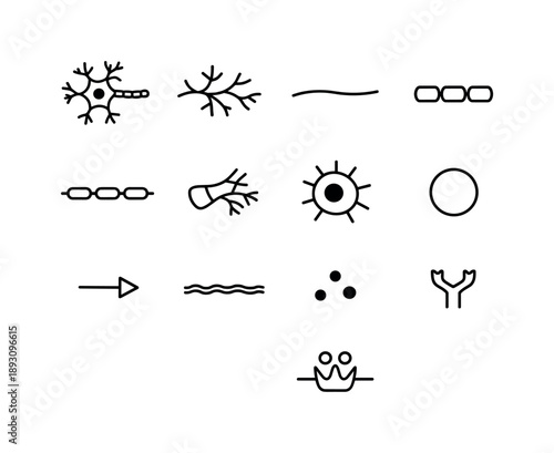 Neuron Line Art. Neuron Structure. Line icon set of Neuron Structure: neuron outline, dendrite branches, axon fiber, myelin segments, nodes of Ranvier,