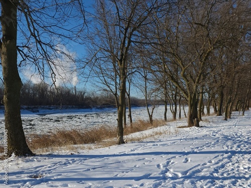 Tableau sur toile Snowy Winter Riverbank with Bare Trees Along the Missouri River