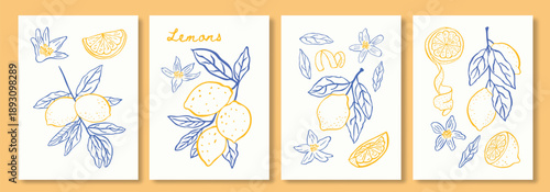 Abstract poster citrus fruits illustration set with hand drawn lemon, leaves, flowers. Minimalist line art in italian summer vacation. Contemporary elegant design for posters,cards,menus,cover, banner