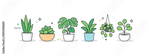 Minimalistic Plant Collection. Minimal plant collection. Stylized houseplants with smooth leaves and simple pots, neatly aligned as a set. Calm interior