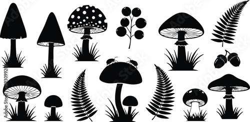 Black silhouette vector art of various wild mushrooms fern leaves acorns and berries isolated on white background detailed forest nature elements collection