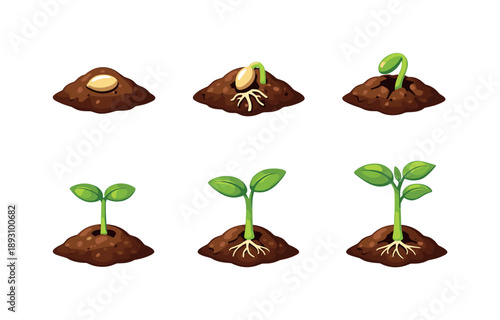 Seedling Growth Stages. Seedling development. Isometric flat vector icons set of Seedling development: soil mound with seed, root emergence, sprout breaking