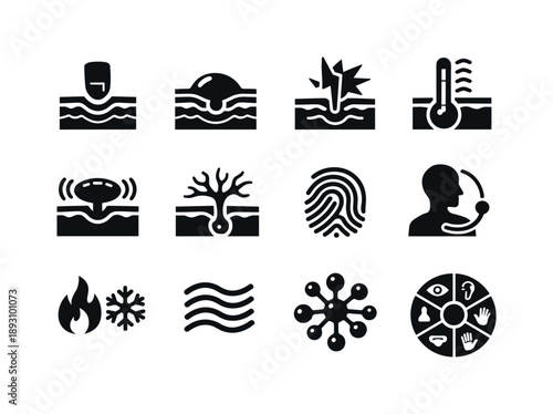 Skin Sensory Icons. Skin sensory functions. Solid icon set of skin sensory functions: touch receptor, pressure sensor, pain signal icon, temperature sensor,