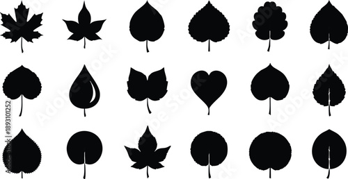 Black silhouette collection of diverse leaf shapes arranged in rows showing natural variations of botanical foliage design in minimalist vector style