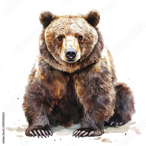 Bear, watercolor painting with colorful accents, isolated on a white background.