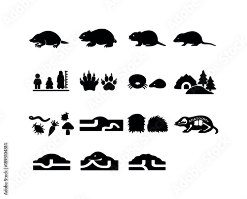 Mole Silhouette Icons. Mole comparison. Solid icon set of mole comparison: mole silhouette, gopher silhouette, vole silhouette, shrew silhouette, size scale,