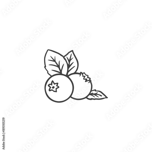 blueberry in doodle style isolated on white background. Engraving style drawing. Sketch of blueberry. Berry for menu, label, recipe, farm product packaging. Vector illustration