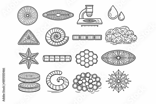 Image Generation. Line style icons of microscopic diatoms: diatom shape, silica frustule, intricate pattern, microscopic lens,