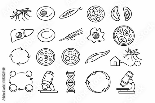 Image Generation. Line style icons of Plasmodium host alternation: mosquito, human blood cell, sporozoite, merozoite, gametocyte,