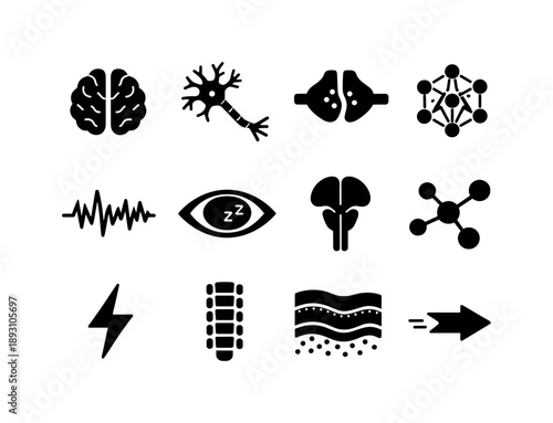 Neurobiology Icon Montage. Neurobiology of Dreams. Solid icon set of Neurobiology of Dreams: brain hemispheres, neuron, synapse, neural network, EEG waves, REM