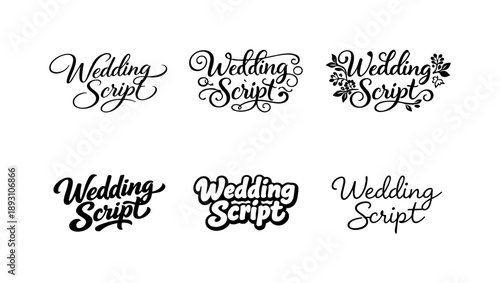 Wedding Script Variations. Wedding script headlines. Set lettering. harmonious lettering variations of the same emblematic concept, each with different