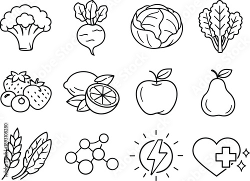 Line style of Natural detox foods vector icons: broccoli, beetroot, cabbage, kale; berries, citrus, apple, pear; fiber,