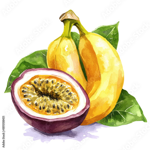 Banana Passionfruit, watercolor painting with colorful accents, isolated on a white background.
