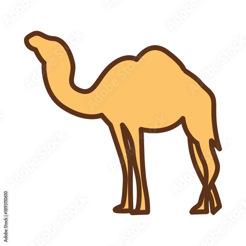 camel
