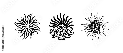 Black and White Sea Anemone Ocean Coral Symbol