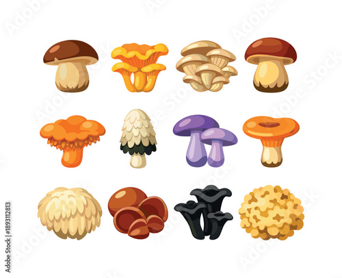 Edible Fungi Icons. Edible fungi. Colorful flat vector icons set of edible fungi: porcini cap, chanterelle cluster, oyster group, king bolete, hedgehog
