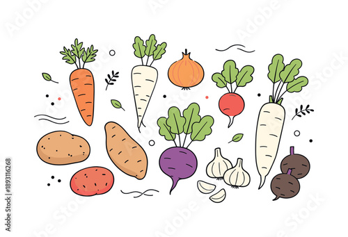 Earthy Harvest Illustration. Seasonal root harvest. Flat lay of earthy vegetables arranged naturally, warmth and simplicity of farm produce. Gentle decorative