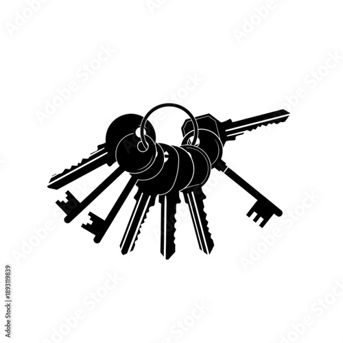 A bunch of keys on a keyring in black silhouette