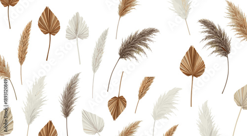 Dried Pampas Grass and Palm Leaves Collection, Flat Vector Boho Botanical Set