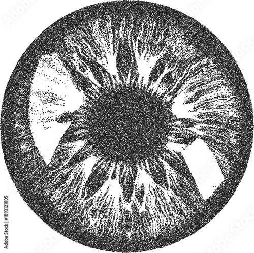 Eye y2k retro stipple art iris brutalist halftone vector png transparent, vision 2000s photocopy effect tattoo aesthetic