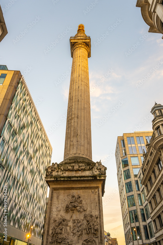 Fototapeta premium The Monument to the Great Fire of London rises above the surrounding buildings. This historic landmark commemorates the devastating fire that occurred in 1666, attracting visitors and locals alike.
