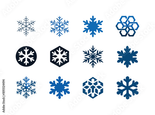 Snowflake Emblem Collection. Snowflake formation. Icon set. Set Logo of snowflake formation: microscopic ice growth. harmonious logo variations of the same