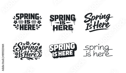 Spring Lettering Variations. Spring Is Here Quote. Set lettering. harmonious lettering variations of the same emblematic concept, each with different artistic