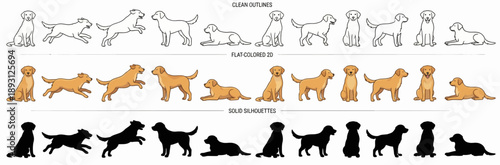 Golden Retriever Dog Vector Icon Set with Clean Outlines, Flat Colored 2D Vectors, and Solid Black Silhouettes, Labrador and Retriever Illustrations for Pet Care, Veterinary, and Domestic Animal Desig