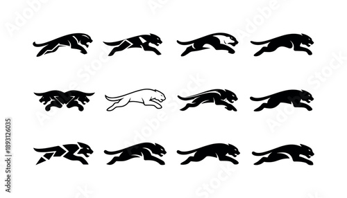 Fierce Panther Logos. Fierce predators. Icon set. Set Logo of fierce predators: leaping panther. harmonious logo variations of the same emblematic concept,