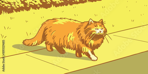 Fluffy Orange Ginger Cat Confidently Walking on a Sunny Outdoor Sidewalk