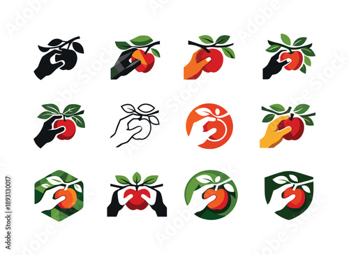 Fruit Picking Logos. Picking fresh fruit from an orchard. Icon set. Set Logo of picking fresh fruit from an orchard: hand plucking fruit from branch.