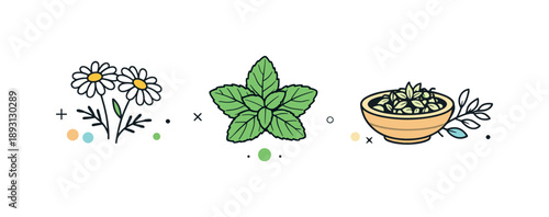 Herbal Harmony Illustration. Herbal ingredients minimal collection. Chamomile flowers, mint leaves, and dried herbs arranged in a tidy row. Natural balance,