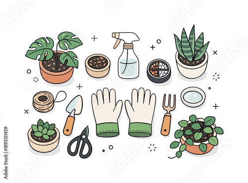 Modern Plant Care. Plant care lifestyle scene. A top-down view of houseplants arranged neatly with gloves and tools, emphasizing organization, routine, and