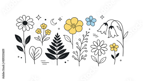 Pressed Flowers Artistry. Botanical pressed flowers collection. Assorted pressed flowers and leaves arranged side by side, showing natural forms and gentle