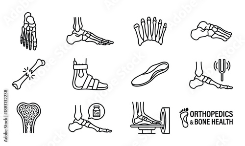 Dental hygiene, jaw and bone structure, dental care and anatomy transparent background