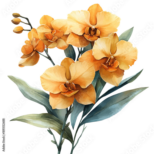Bamboo Orchid Branch, watercolor vector portraying a joyful pose with colorful highlights, isolated on a white background.