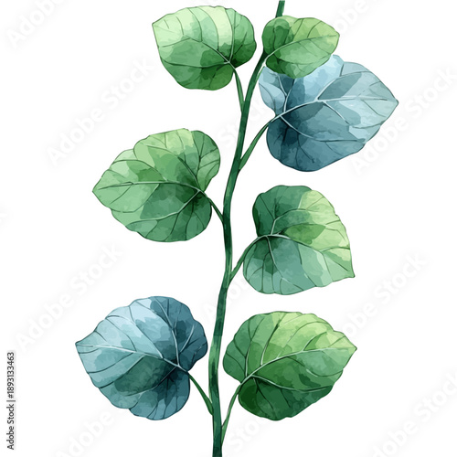 Balsam Vine Branch, watercolor clipart showcasing whimsical details and harmonious color flow, isolated on a white background.