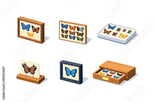 Butterfly Specimen Display. Natural Specimens. Isometric flat vector icons set of Natural Specimens: butterfly shadow box, detailed wing pattern display,