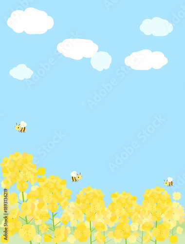青空に映える菜の花畑をイメージしたイラスト　縦型バージョン