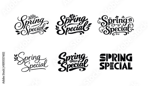 Spring Lettering Variations. Spring Special. Set lettering. harmonious lettering variations of the same emblematic concept (Elegant script with flowing curves,