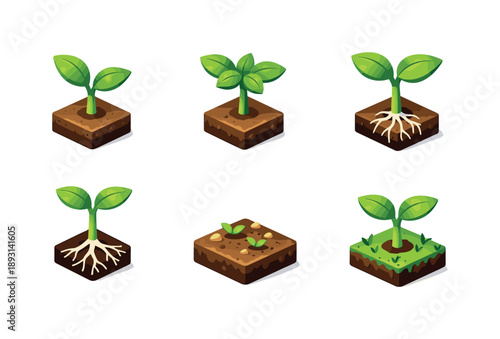 Young Sprout Icons. Young sprout. Isometric flat vector icons set of young sprout: healthy green sprout, small leaf canopy, strengthened stem, balanced root