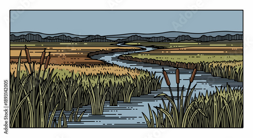 Detailed landscape illustration of a tranquil wetland with tall grasses, winding waterway, and rolling hills