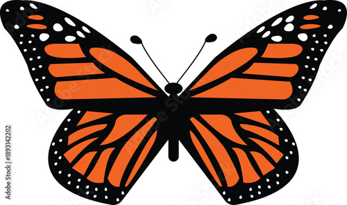 Beautiful Orange Monarch Butterfly Vector Illustration for Nature, Spring, and Insect Design