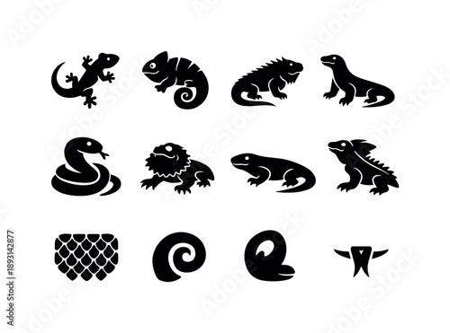 Vibrant Reptile Icons. Vibrant Reptiles. Solid icon set of Vibrant Reptiles: gecko, chameleon, iguana, monitor lizard, colorful snake, bearded dragon, skink,