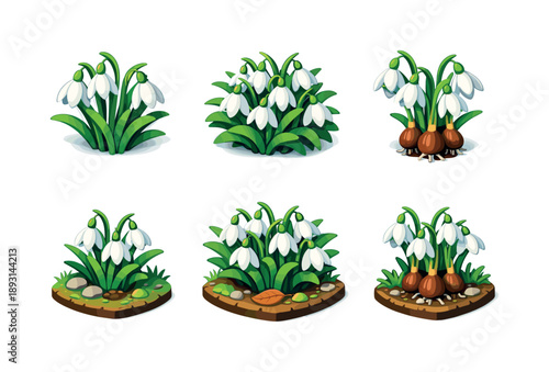Snowdrop Icon Grid. Snowdrops cluster. Isometric flat vector icons set of snowdrops cluster: group of snowdrop flowers, overlapping stems, layered white