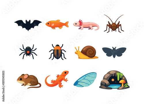 Colorful Cave Creatures Icons. Cave creatures. Colorful flat vector icons set of cave creatures: bat silhouette, cave fish, blind salamander, cave cricket,