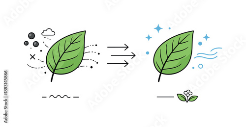 Air-Purifying Plants. Plants and air filtration. Close-up of individual leaves with soft abstract particles floating away, symbolizing absorption of pollutants